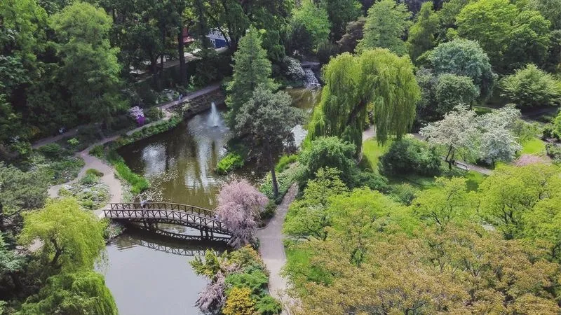 Czy ogród botaniczny jest otwarty? Sprawdź, zanim zdecydujesz się na wizytę!