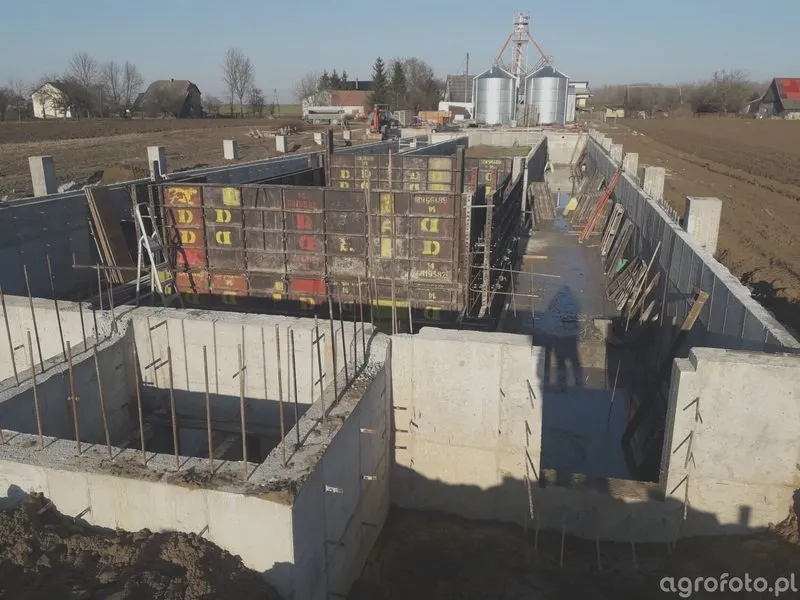 Jak obliczyć koszt budowy obory na 50 krów? Poradnik dla rolników