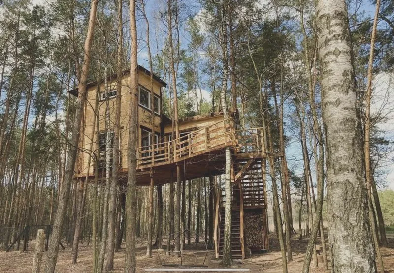 Jak zbudować wymarzony dom na drzewie – poradnik krok po kroku