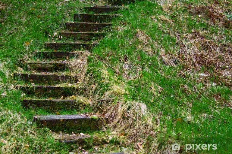 Przewodnik po budowie schodów na skarpie – krok po kroku do pięknego ogrodu