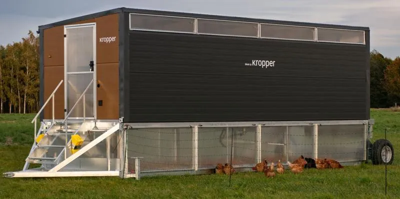 Budowa kurnika dla 5 kur