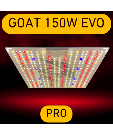 GOAT-LED-EVO-150w-profesjonalna-lampa-led-do-konopii.webp