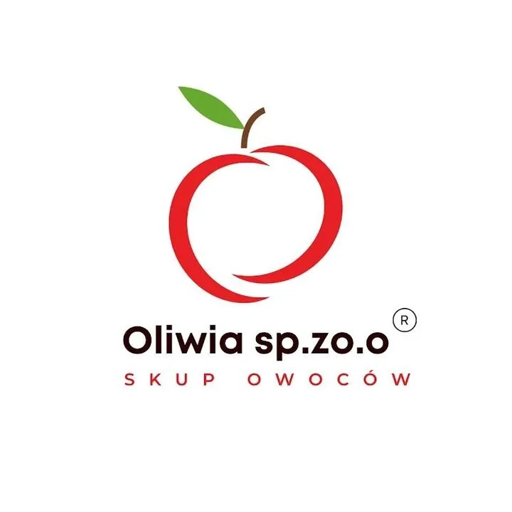 Nowoczesne projekty domów