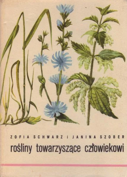 Sadzenie roślin w ogrodzie