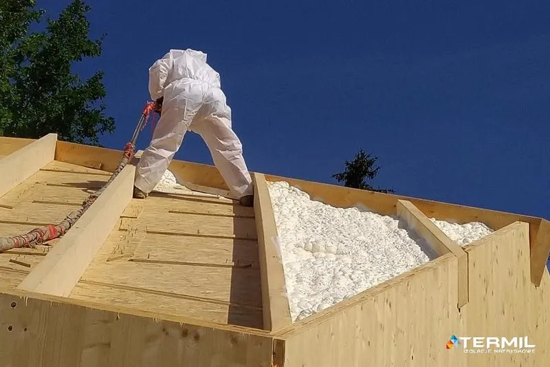 Zalety i wady styropianu