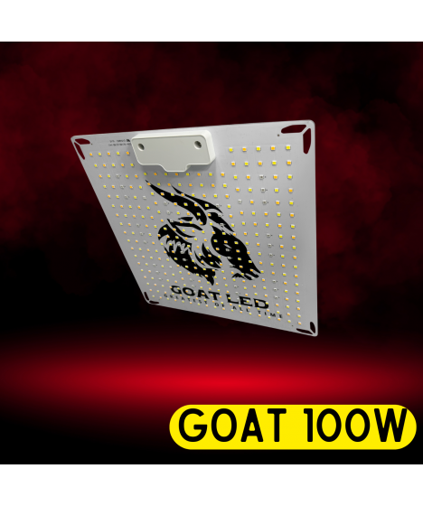 goat-led-100w-26mol-dual.webp